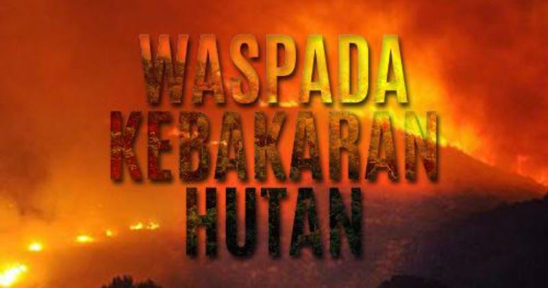 Kota Dumai dan Bengkalis Tetapkan Status Siaga Darurat Karhutla