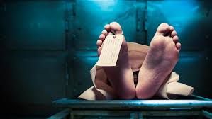 Sedang Pipis di Jalan Raya Pengendara Motor Tewas Tertancap Pagar