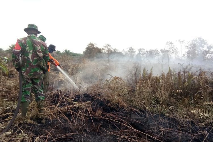 Diselimuti Asap Tipis di Pagi Hari, Dumai Miliki 1 Titik Api