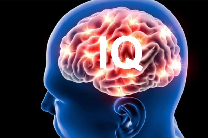 Pria Korsel jadi Orang Pemilik IQ Tertinggi di Dunia