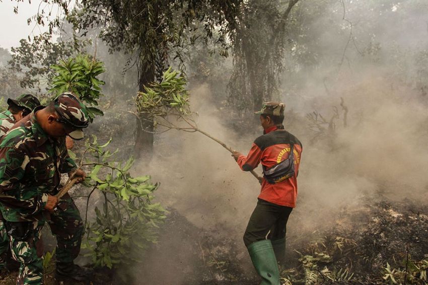 2 Tersangka Kasus Kebakaran Hutan di Dumai