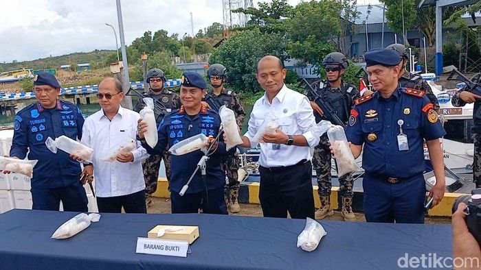 Benih Lobster Senilai Rp 13 Miliar di Batam Gagal Diselundupkan