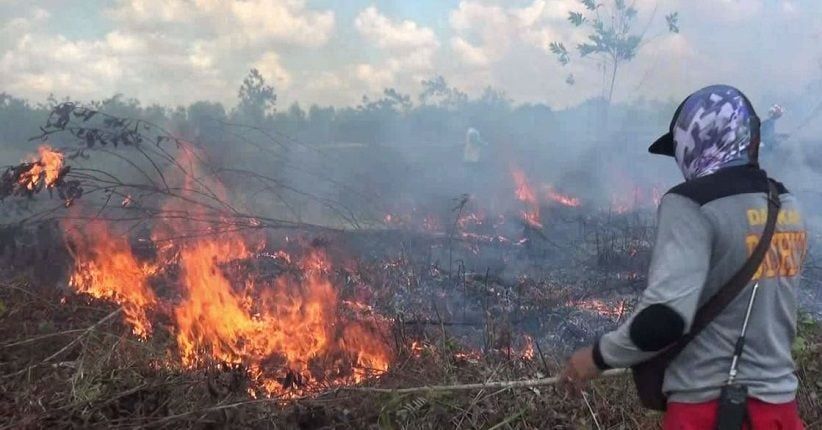 Gawat! Ditemukan 36 Titik Panas Kebakaran Hutan dan Lahan di Riau