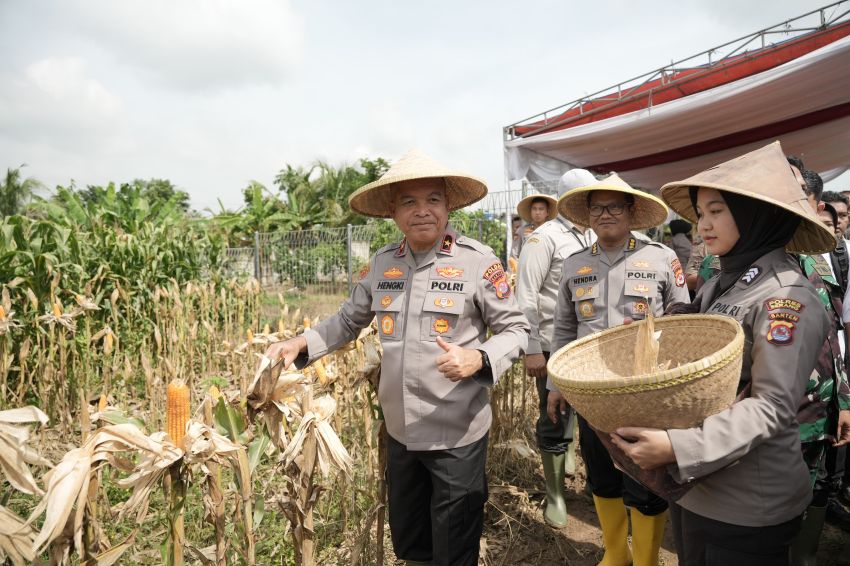 Panen Raya Jagung Hibrida, Kapolda Banten: Bentuk Nyata Upaya Bersama untuk Ketahanan Pangan