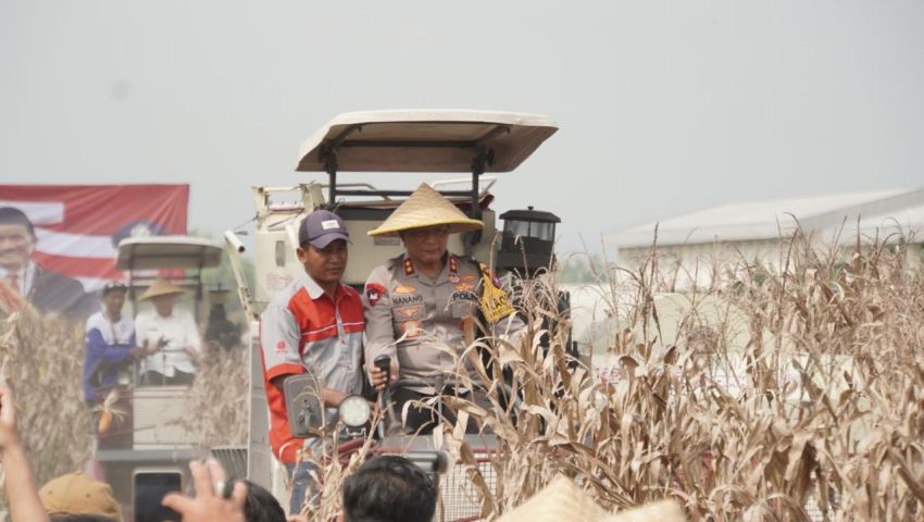 Kapolda Jatim Pimpin Panen Raya Jagung Hibrida di Sidoarjo