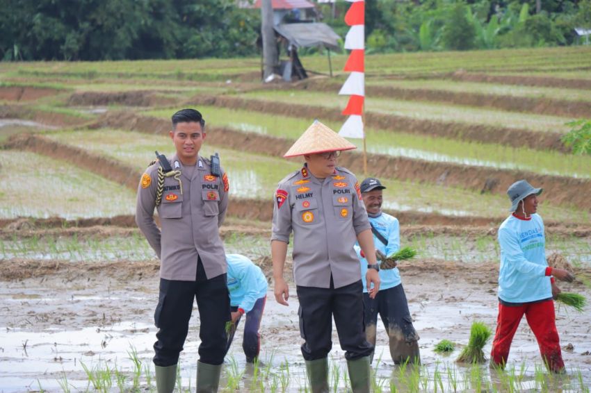 Kapolda Lampung Hadiri Gerak Tanam Raya Padi Serentak, Dukung Ketahanan Pangan Nasional