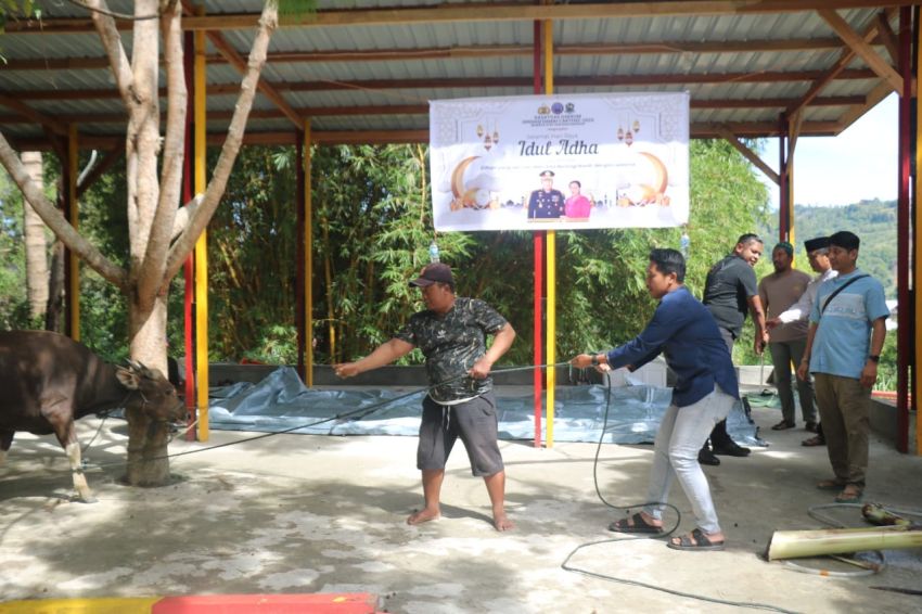 Idul Adha 1446 H, Satgas Gakkum ODC-2025 Sembelih 2 Ekor Sapi di Posko Jayapura