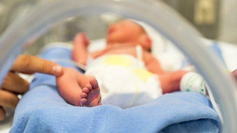 Melihat Sindikat Jual Bayi ke Singapura, Pelaku Sudah Bertransaksi Sejak Dalam Kandungan