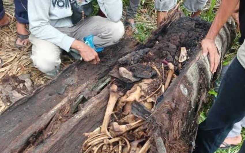 Aneh, Penemuan Mayat Dalam Pohon Aren Terungkap Berkat Angin Puting Beliung
