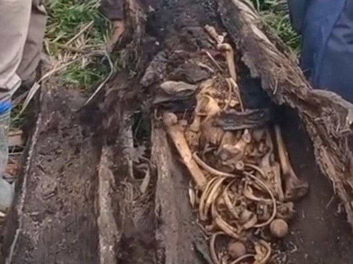 Terkait Jasad Yudha Tersimpan dalam Pohon Aren Selama 2 Tahun, Dokter tak Bisa Beri Kesimpulan Penyebab