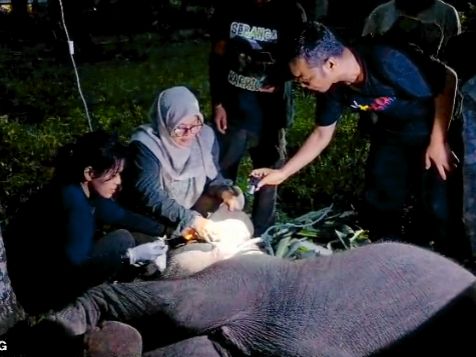 Kabar Duka Laila Bayi Berusia 1,6 Tahun Tewas dengan Kondisi Awal Menjerit