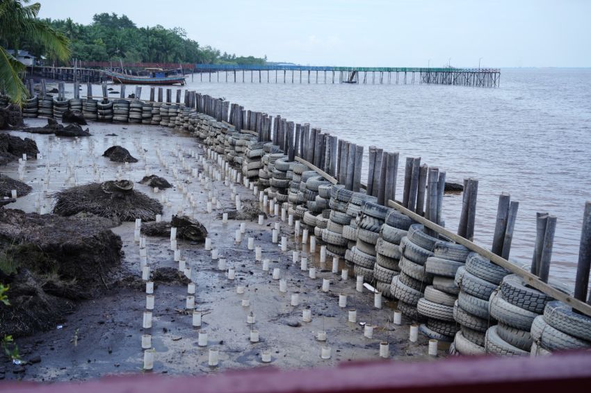 Komitmen Ketahanan Pesisir, Kilang Dumai Tambah 200 meter APO di Kelurahan Mundam