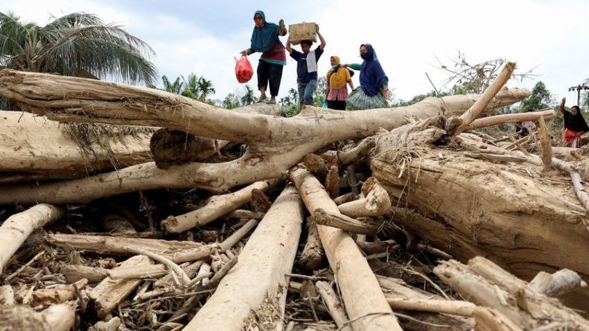 Prabowo Cabut Izin 28 Perusahaan Pemanfaatan Hutan di Sumbar, Sumut dan Aceh