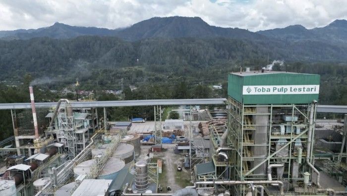 Masuk Perusahaan Izin Dicabut Prabowo, Toba Pulp Lestari Pernah Disikat Luhut