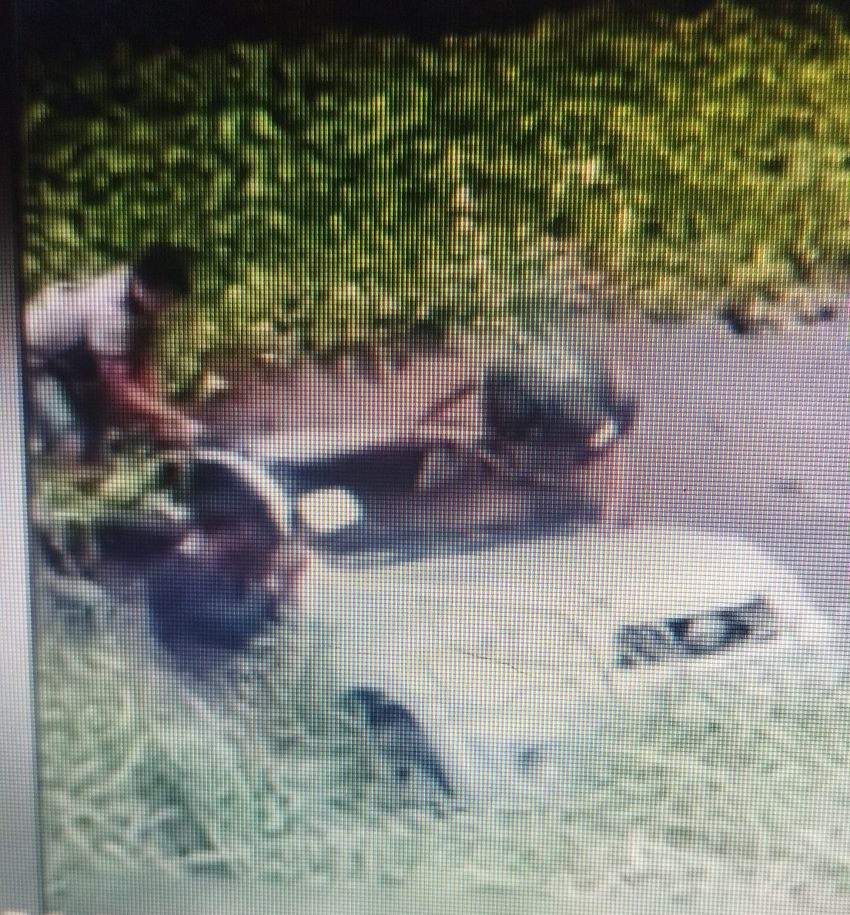 Melewati Jalan Berbatuan, Toyota Rush Nyemplung ke Kanal Dua Orang Tewas Tenggelam