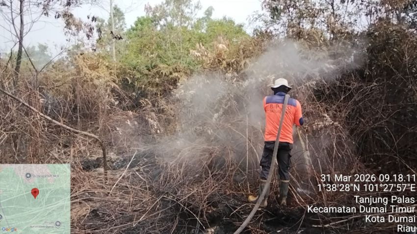 Kebakaran Lahan dan Hutan di Dumai Dapat dikendalikan