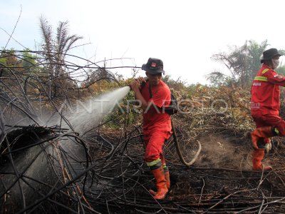 Titik Api Clear, BPBD Dumai, Patroli Kawasan Rawan Karlahut
