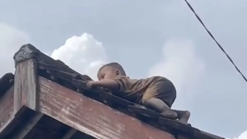 Heboh Balita  Merayap Hingga di Atas Genteng Rumah, Warga yang Melihat Histeris