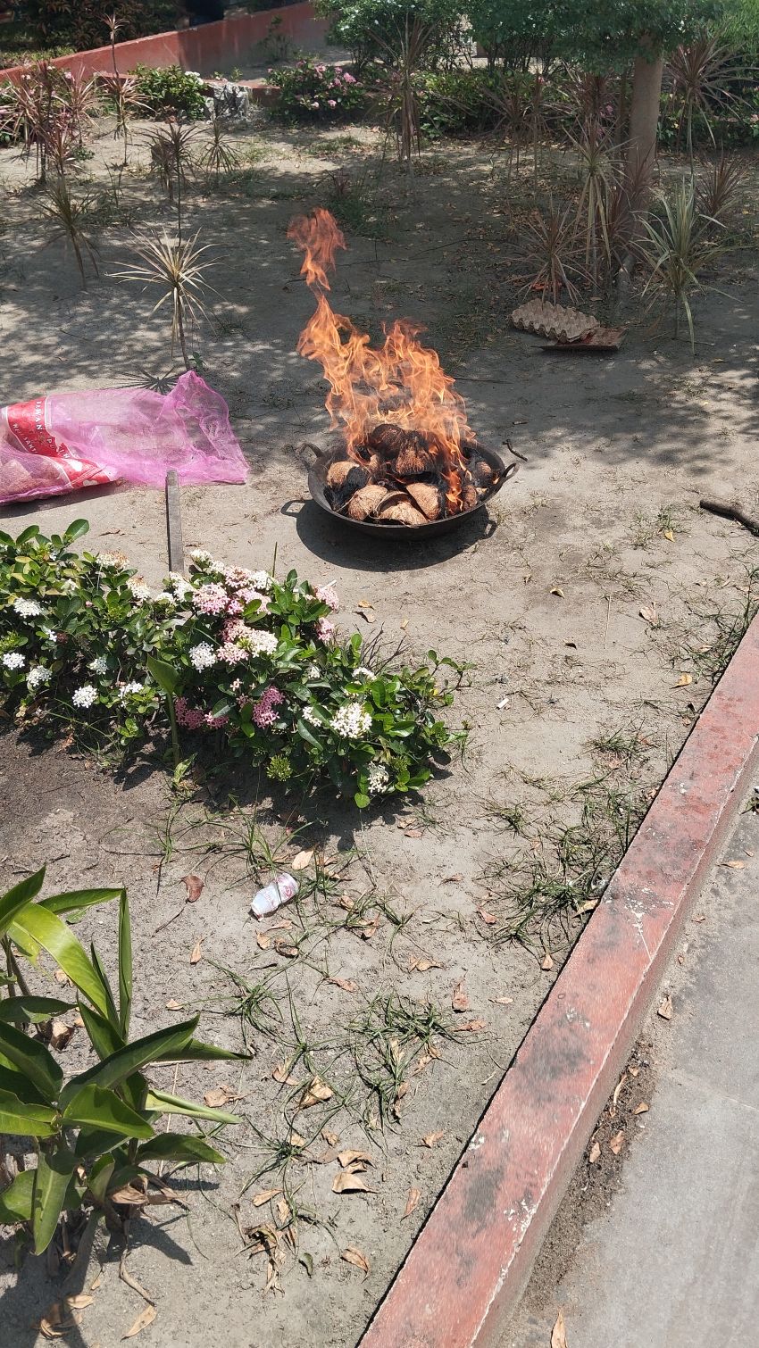 Dumai Expo, Miris Taman Bunga Dijadikan Pemanggangan Ikan