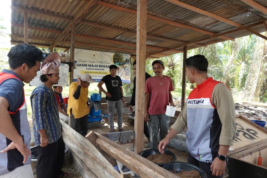Di Tangan Rizky Lewat Inovasi Pakan Lele Dongkrak Omzet Puluhan Juta