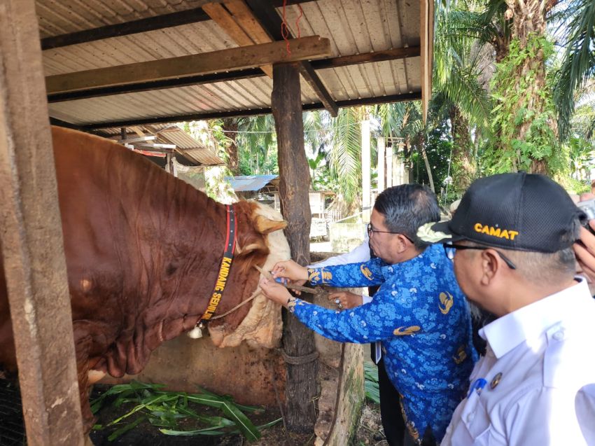 SAMSON Sapi Qurban Prabowo Disembelih di Masjid Paripurna Al Manan