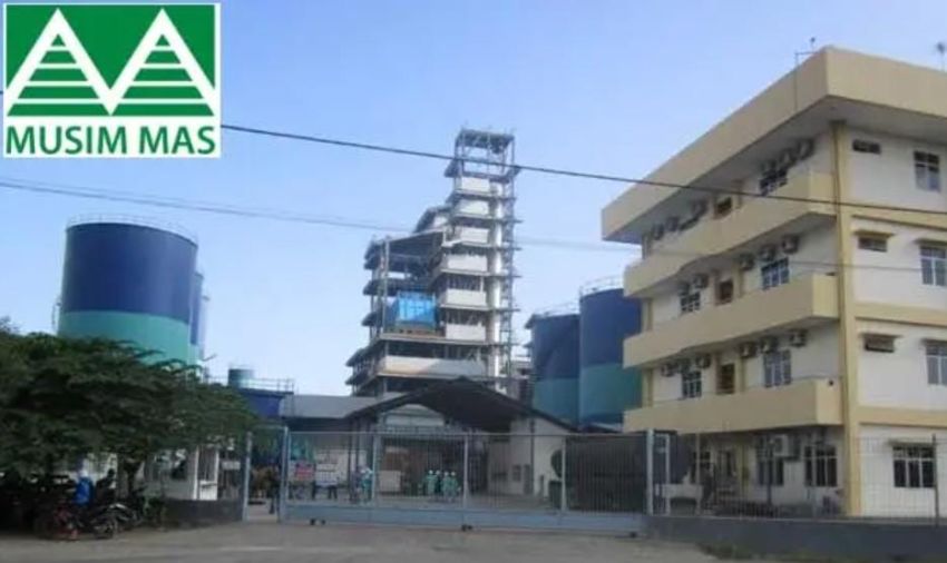 Perusahaan Sawit PT Musim Mas Tersangka Perusakan Lingkungan