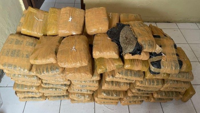 Gegara Kecelakaan Avanza  vs Truk Muatan 112 Kg Ganja Terbongkar