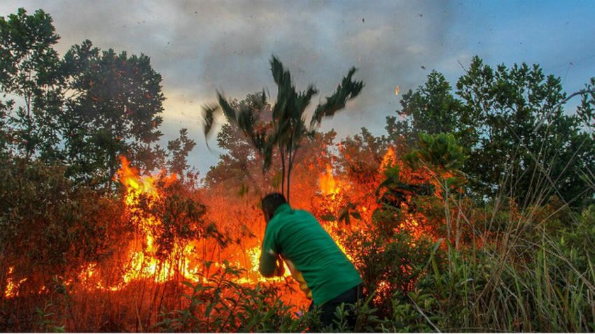 BMKG Deteksi 19 Titik Panas di Riau, Siak dan Kampar dan Dumai