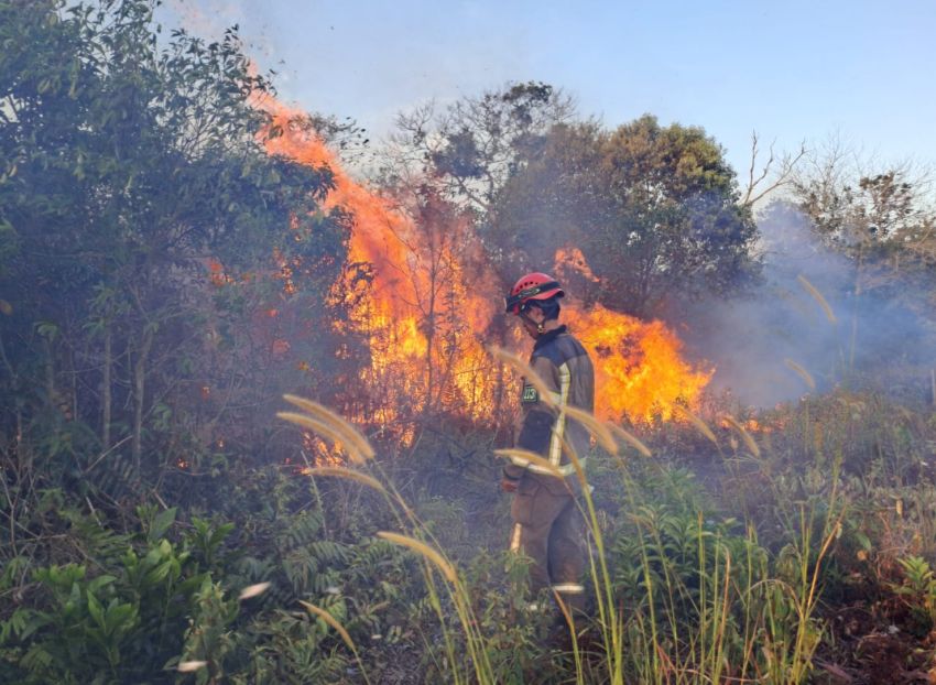 Tiga Titik Panas di Riau Terdapat di Dumai, Inhu dan Inhil
