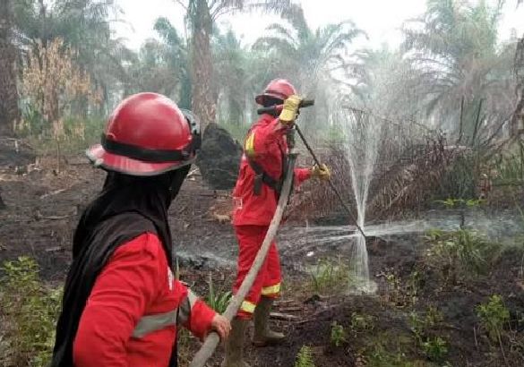 Kutikam &lsquo;Badanmu&rsquo; dengan Nozzle Gambut Hngga tak Bernyawa